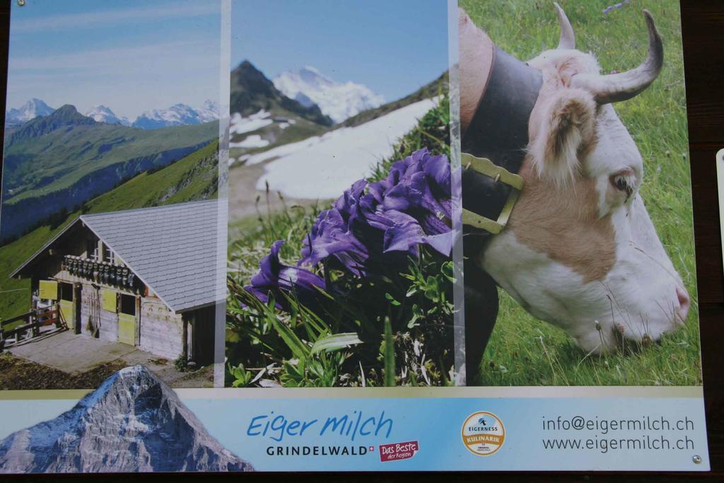 Beim See Grindelwald Exterior photo